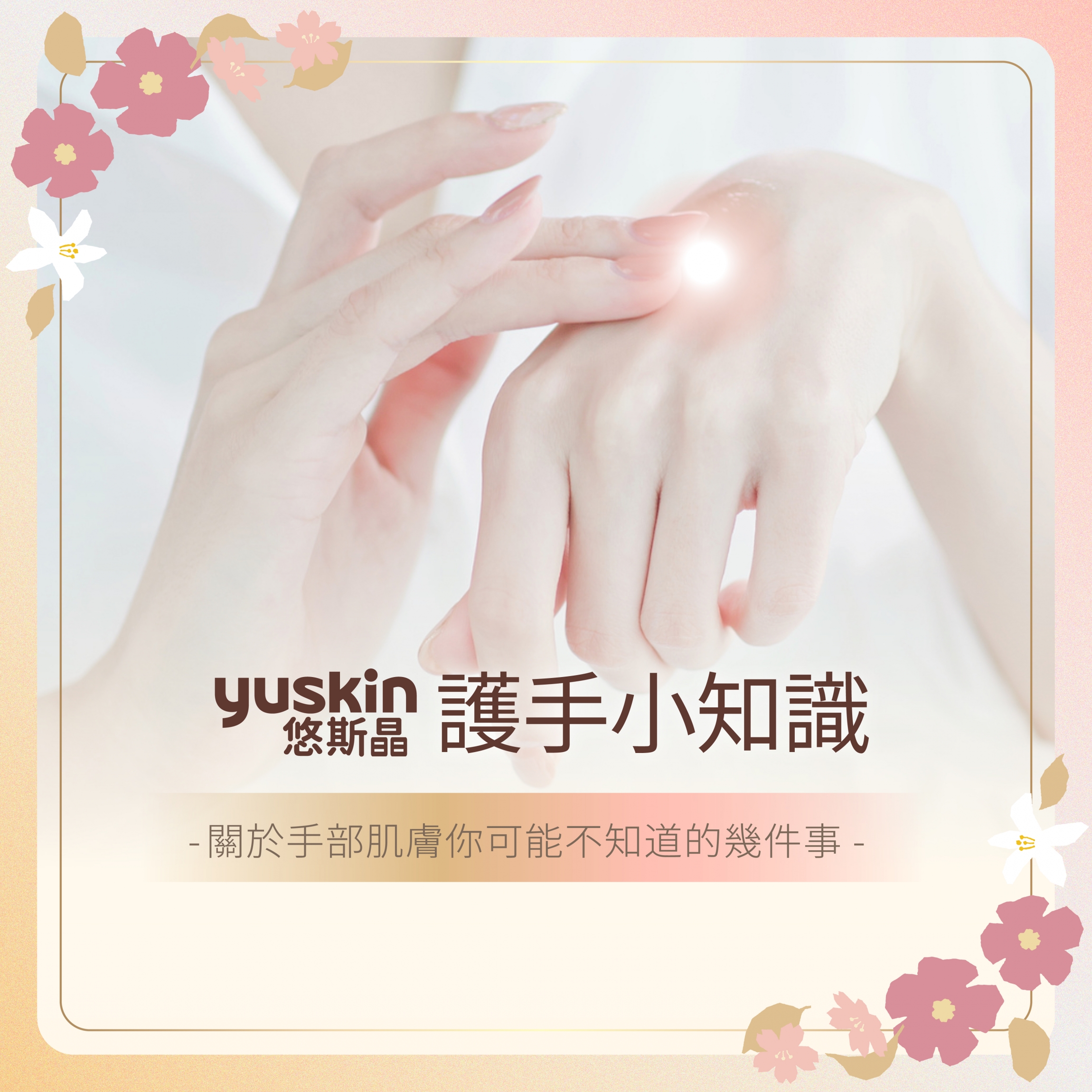 本頁圖片/檔案 - Yuskin Hana Miffy 產品特點及介紹_01