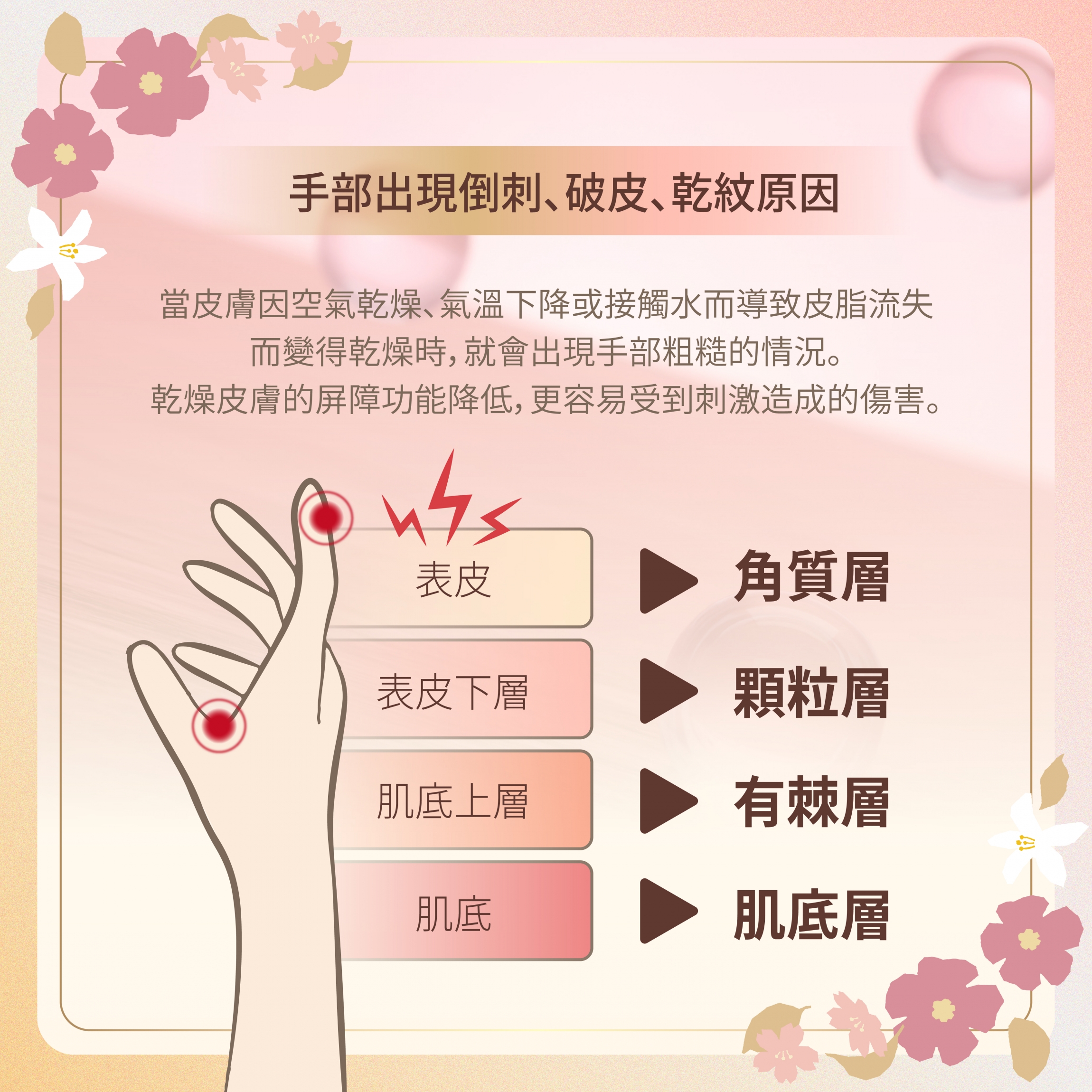 本頁圖片/檔案 - Yuskin Hana Miffy 產品特點及介紹_02