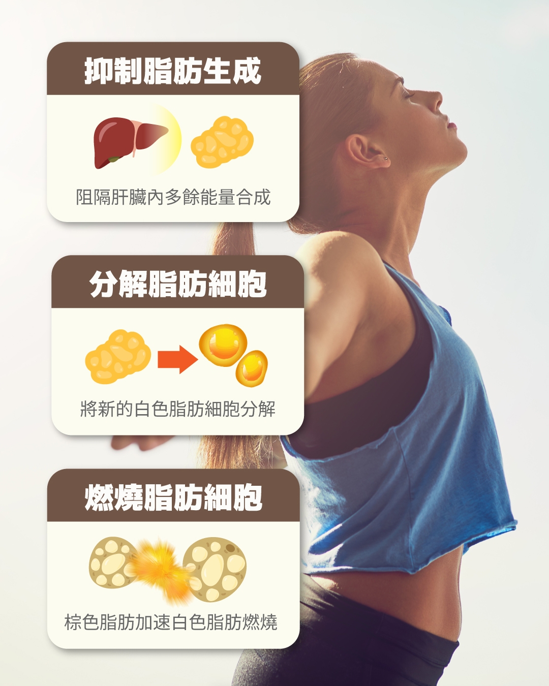 本頁圖片/檔案 - 新谷葛花介紹_5