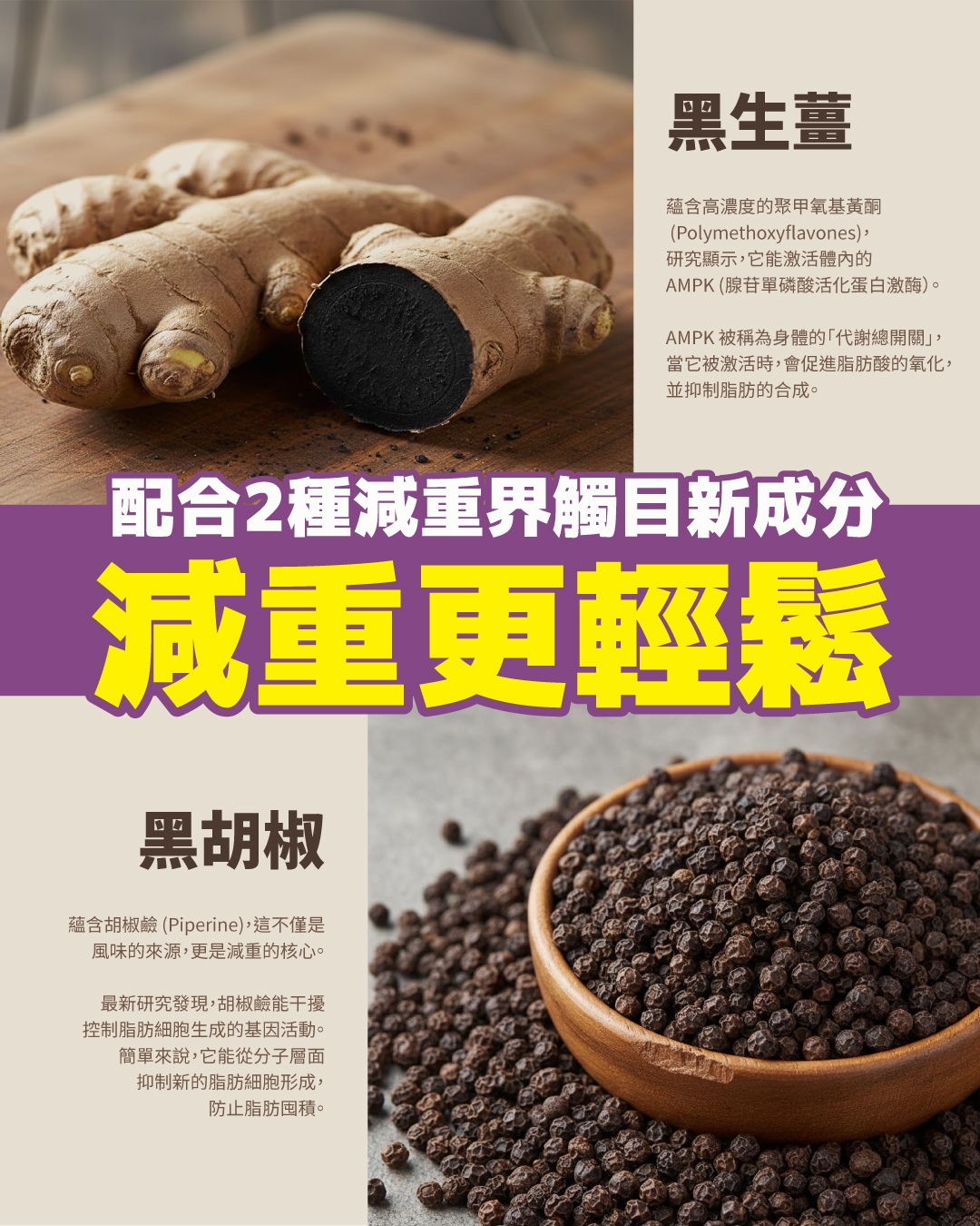 本頁圖片/檔案 - 新谷葛花介紹_6